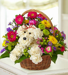 A-Dog-able in a basket! Flower Power, Florist Davenport FL