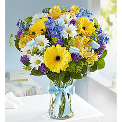 Sweet Baby Boy Arrangement Same-Day Flower Delivery in Davenport, FL and Haines City, F