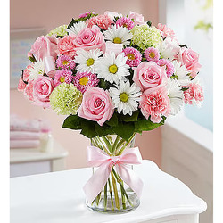 Sweet Baby Girl Arrangement Same-Day Flower Delivery in Davenport, FL and Haines City, F