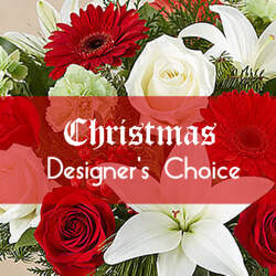 Christmas Designer's Choice Davenport Florist - Same Day Flower Delivery - Flower Power 