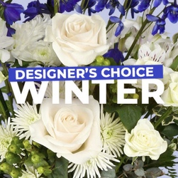 Designer's Choice Winter Davenport Florist - Same Day Flower Delivery - Flower Power 