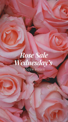 Dozen Rose Sale 