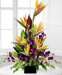 Exotic Grace Davenport Florist - Same Day Flower Delivery - Flower Power 