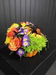 Halloween Special 1 Davenport Florist - Same Day Flower Delivery - Flower Power 