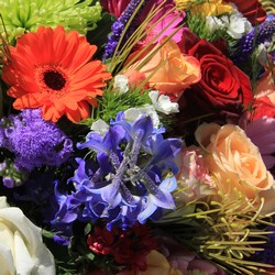 Flower Subscription - Traditional Davenport Florist - Same Day Flower Delivery - Flower Power 