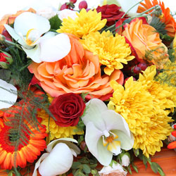 Flower Subscription - Seasonal Davenport Florist - Same Day Flower Delivery - Flower Power 